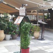 фото из отзыва ID 1977395