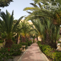 фото из отзыва ID 1977502