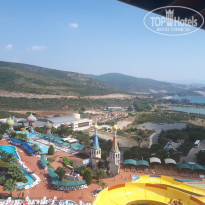 фото из отзыва ID 1977503