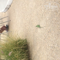 фото из отзыва ID 1977463