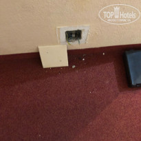 фото из отзыва ID 1977555