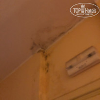 фото из отзыва ID 1977555