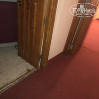 фото из отзыва ID 1977555