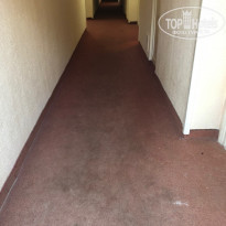 фото из отзыва ID 1977555