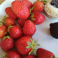 фото из отзыва ID 1977588