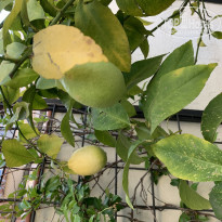 фото из отзыва ID 1977590