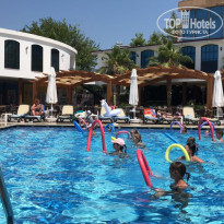 фото из отзыва ID 1977627