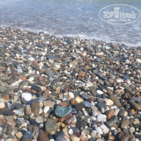 фото из отзыва ID 1977623