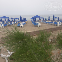 фото из отзыва ID 1977623