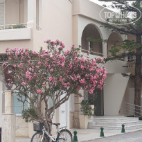 фото из отзыва ID 1977623