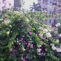 фото из отзыва ID 1977562