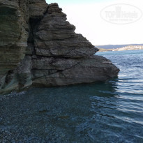 фото из отзыва ID 1977685