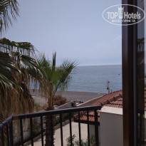 фото из отзыва ID 1977686