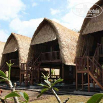 фото из отзыва ID 1977705