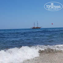 фото из отзыва ID 1977270