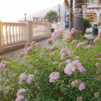 фото из отзыва ID 1977829