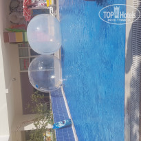 фото из отзыва ID 1977926