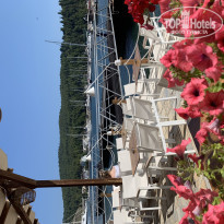 фото из отзыва ID 1978013