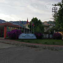 фото из отзыва ID 1978062