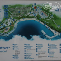 фото из отзыва ID 1978068