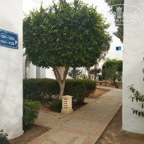 фото из отзыва ID 1972810