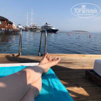 фото из отзыва ID 1973543