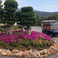 фото из отзыва ID 1973543