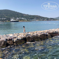 фото из отзыва ID 1973543