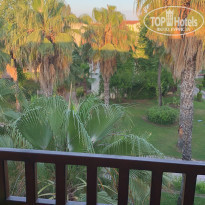 фото из отзыва ID 1978285