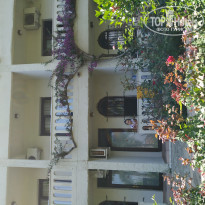 фото из отзыва ID 1978347