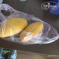 фото из отзыва ID 1978382