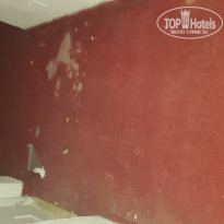 фото из отзыва ID 1978434