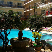 фото из отзыва ID 1970404