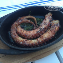 фото из отзыва ID 1978669