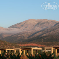 фото из отзыва ID 1978646