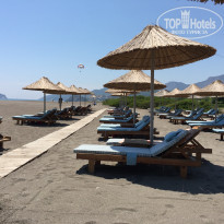 фото из отзыва ID 1978669