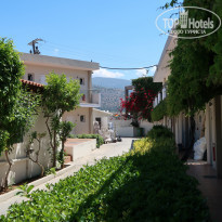 фото из отзыва ID 1978646