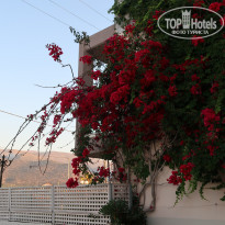 фото из отзыва ID 1978646