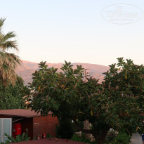 фото из отзыва ID 1978646