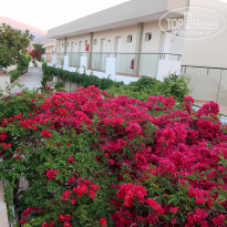 фото из отзыва ID 1978646