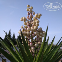 фото из отзыва ID 1978656