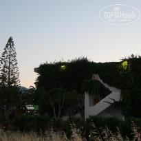 фото из отзыва ID 1978646