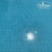 фото из отзыва ID 1978697