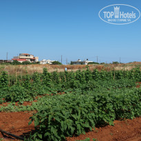 фото из отзыва ID 1978646