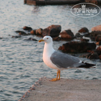 фото из отзыва ID 1978646