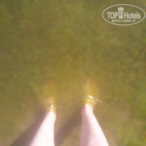 фото из отзыва ID 1978736