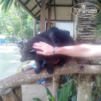 фото из отзыва ID 1978759