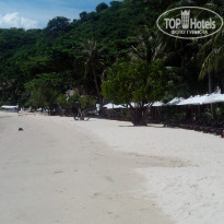 фото из отзыва ID 1978759