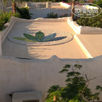 фото из отзыва ID 1978780