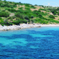 фото из отзыва ID 1978761